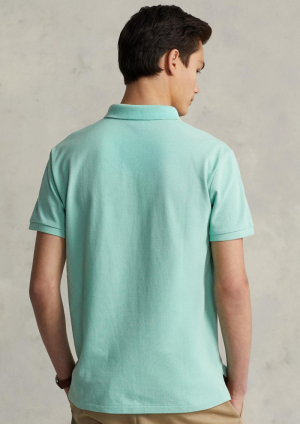 CELADON/C7580
