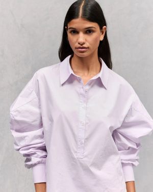 SINTIA LILAC