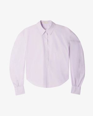 SINTIA LILAC