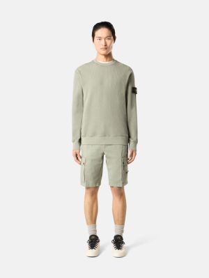 V0055 SAGE