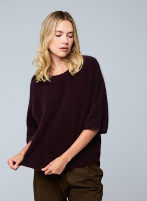  093/AUBERGINE