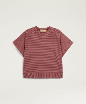  4442 MOSTO/ROSA