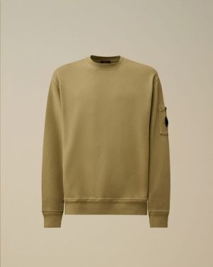 MOSS GRAY 610