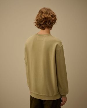 MOSS GRAY 610
