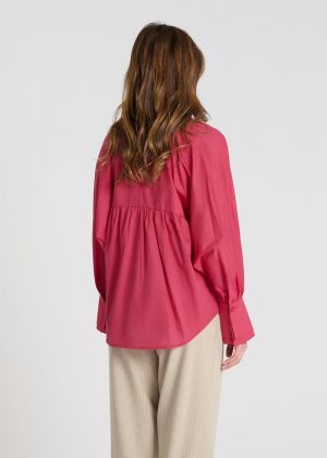 Rose indien