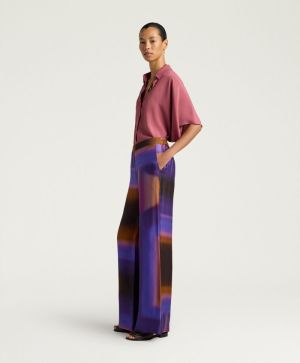  4468 IRIS/CARAM