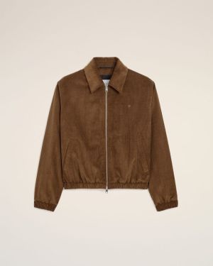 - 2221 : MARRON